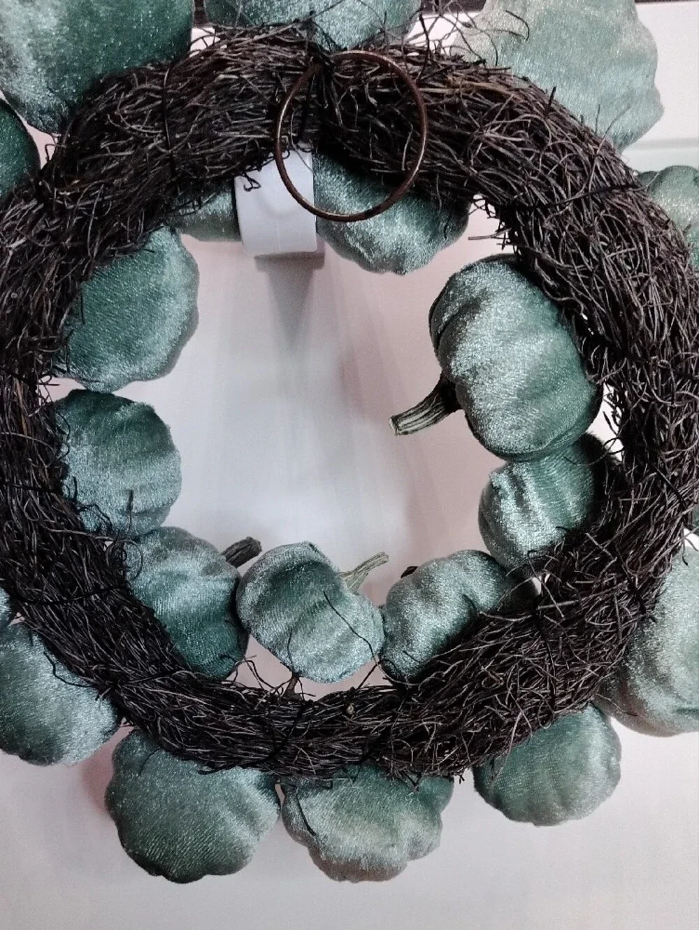 Velvet Teal Pumpkin 9